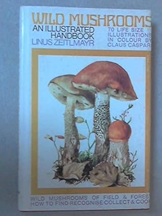 Wild Mushrooms by Linus Zeitlmayr